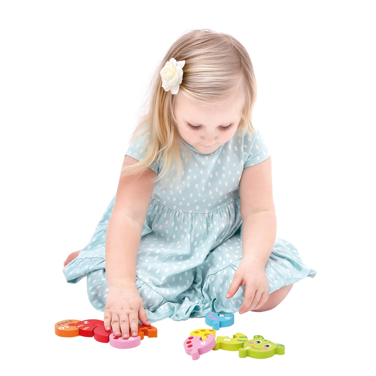 Wooden Number Puzzle, Earthworm