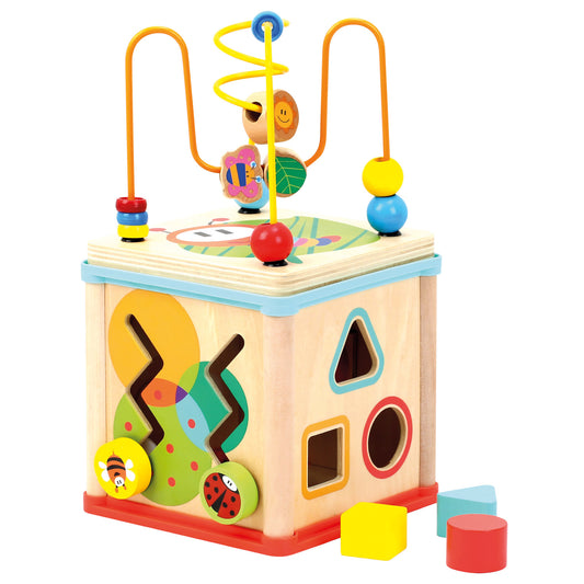 Motor Skill Cube