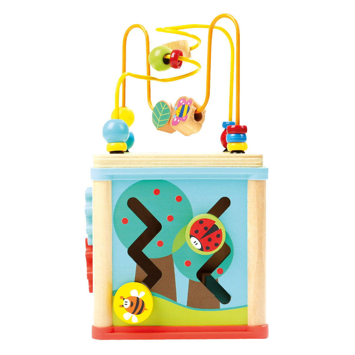 Motor Skill Cube